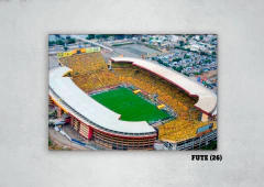 Estadios 26