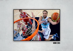 Selección de básquet 12