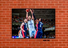 Selección de básquet 19 en internet