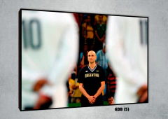 Selección de básquet 5 - comprar online