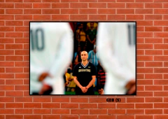 Selección de básquet 5 en internet