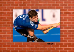 Los Leones (GPH) 8 en internet