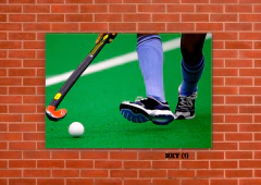 Varios Hockey 1 en internet