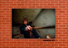 Animales Fantásticos 27 en internet