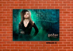 Bellatrix Lestrange 1 en internet