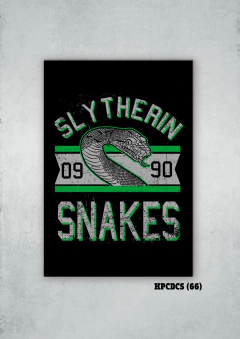Slytherin 66