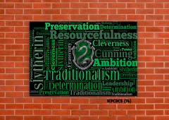 Slytherin 74 en internet