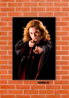 Hermione Granger 2 en internet