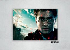 Harry Potter 12