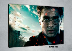Harry Potter 12 - comprar online