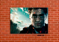 Harry Potter 12 en internet