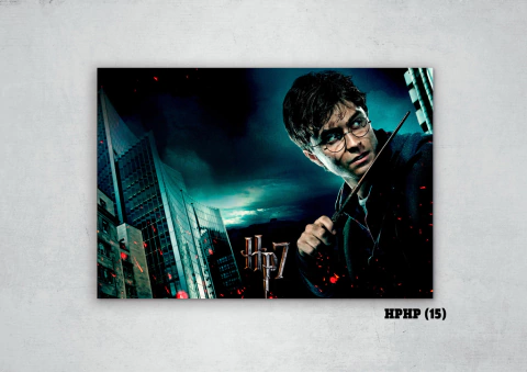 Harry Potter 15