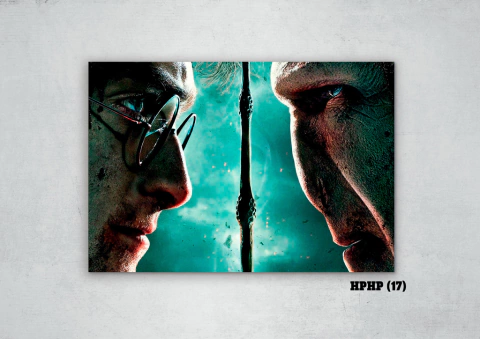 Harry Potter 17