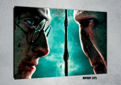 Harry Potter 17 - comprar online