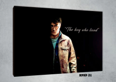 Harry Potter 5 - comprar online