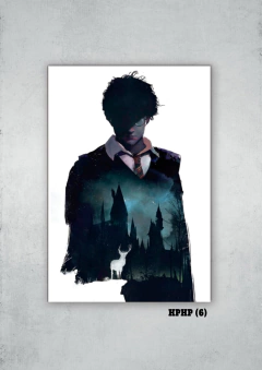Harry Potter 6