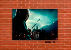 Harry Potter Varios 19 en internet