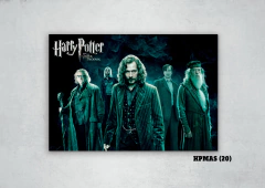 Harry Potter Varios 20