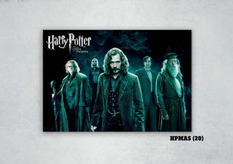 Harry Potter Varios 20