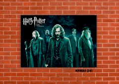 Harry Potter Varios 20 en internet