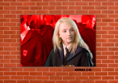 Harry Potter Varios 22 en internet