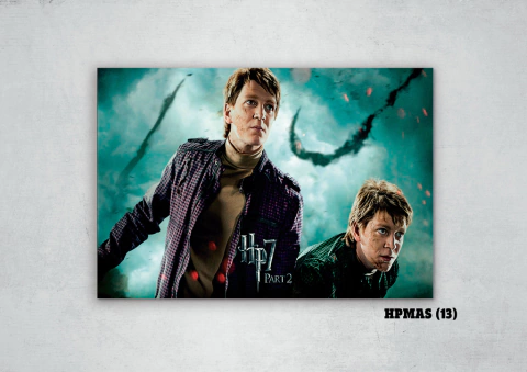 Harry Potter Varios 13