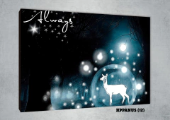 Patronus 12 - comprar online