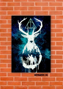 Patronus 9 en internet