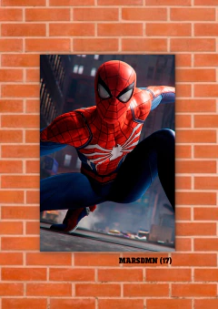 Spider Man 17 en internet