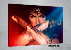 Mujer Maravilla 12 - comprar online