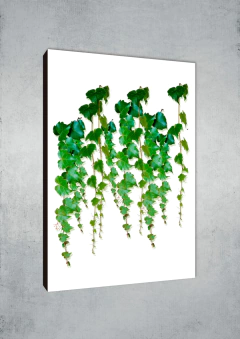 Hojas 201 - MetaXroma