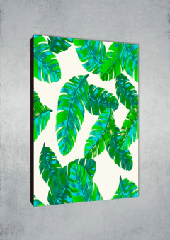 Hojas 256 - MetaXroma