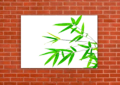 Hojas 269 - tienda online