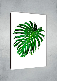 Hojas 272 - MetaXroma