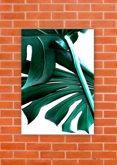 Hojas 304 - tienda online