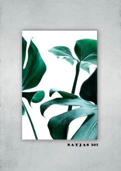 Hojas 305 en internet