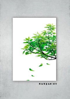 Hojas 377 en internet