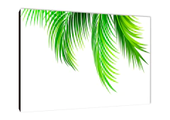 Hojas 405 - comprar online