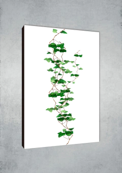 Hojas 406 - MetaXroma