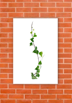 Hojas 422 - tienda online