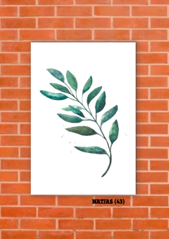 Hojas 43 - tienda online