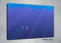 Buscando a Nemo 19 - comprar online