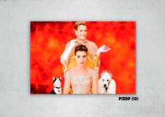 El diario de una princesa 12