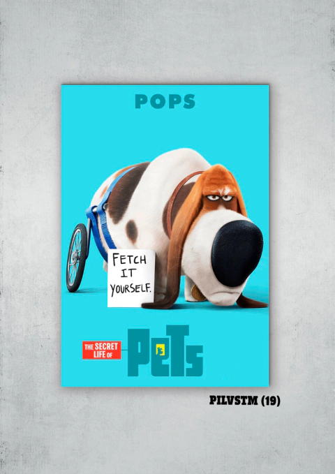 La vida secreta de tus mascotas 19