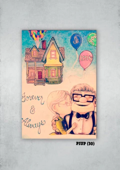 Up: una aventura de altura 30