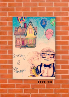 Up: una aventura de altura 30 en internet