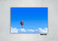 Up: una aventura de altura 91