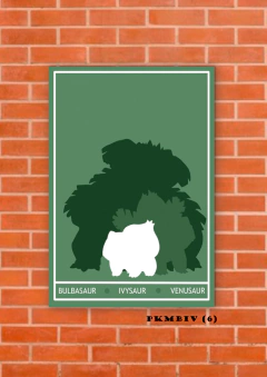 Bulbasaur, Ivysaur, Venusaur, MegaVenasaur 6 en internet