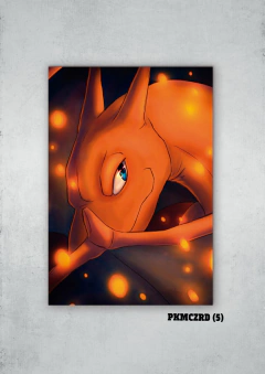 Charizard 5