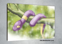 Ekans 4 - comprar online